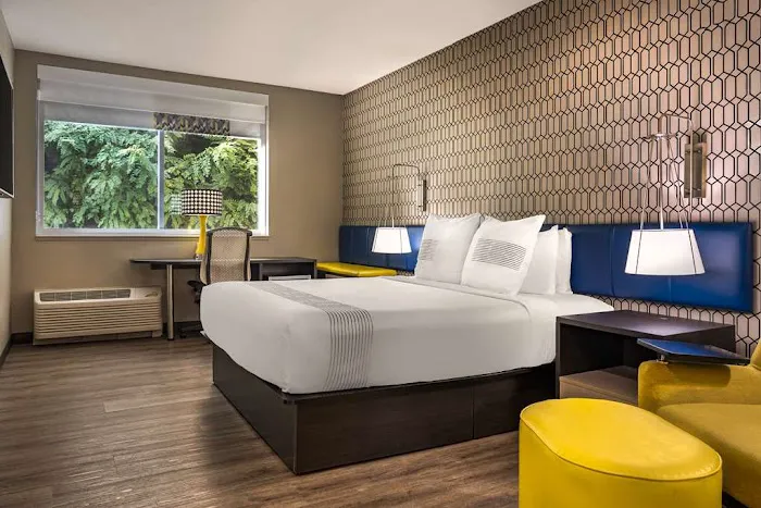 GLō Hotel Asheville-Blue Ridge Parkway 5