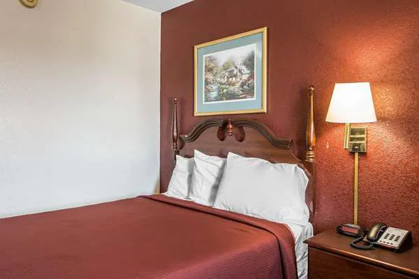 Rodeway Inn Expo Center 4