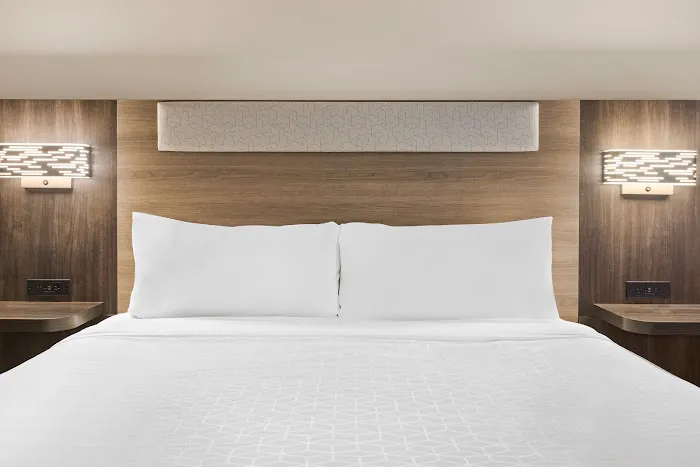 Holiday Inn Express & Suites Greenville-Downtown by IHG 4
