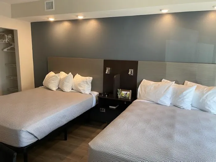 stayAPT Suites Greenville-Haywood Mall 4
