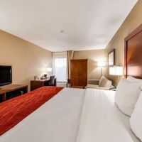 Comfort Inn Greenville - Haywood Mall ico