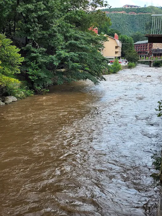 Historic Rocky Waters Inn, A Small Luxury Hotel 4