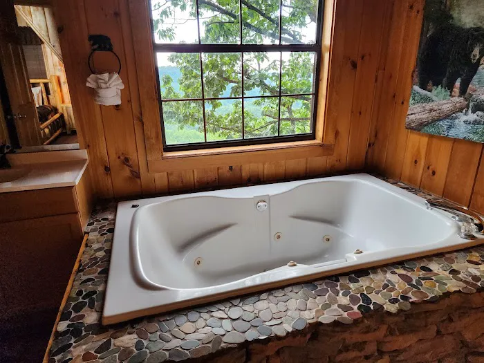Cozy Mountain View 3