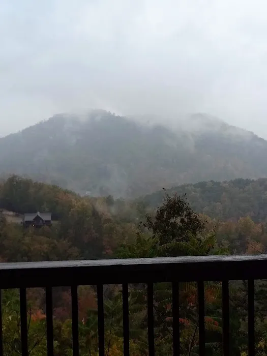 Cozy Mountain View 3