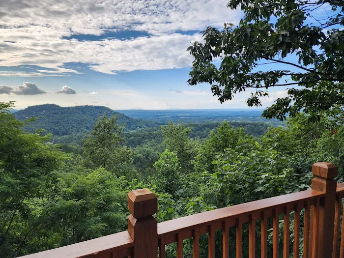 Cozy Mountain View 3