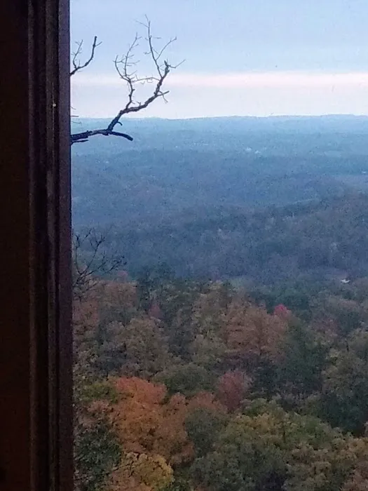 Cozy Mountain View 3