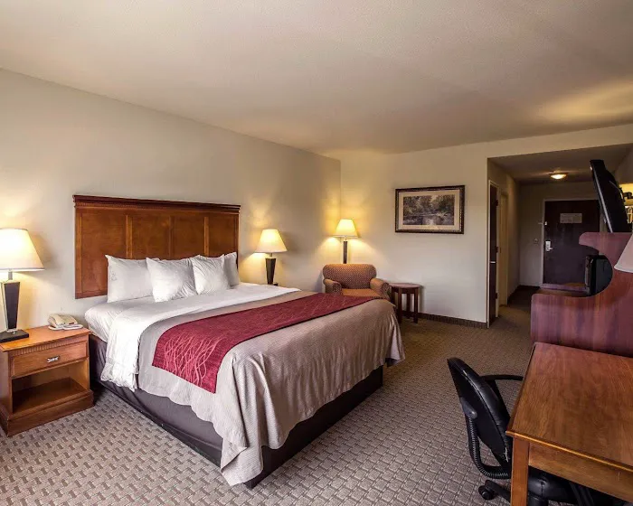 Comfort Inn & Suites 4