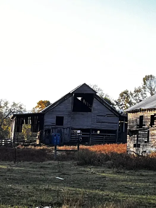 Home Place Bed & Breakfast 4