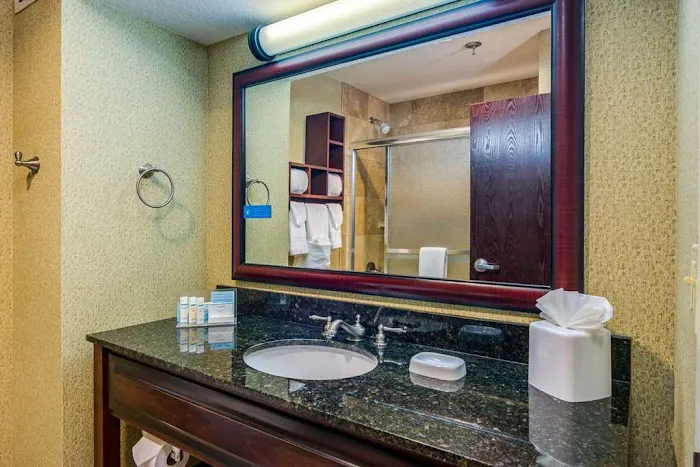 Hampton Inn Johnson City 4