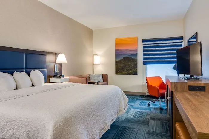 Hampton Inn Johnson City 4