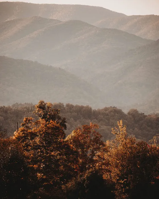 Coffee Ridge 4