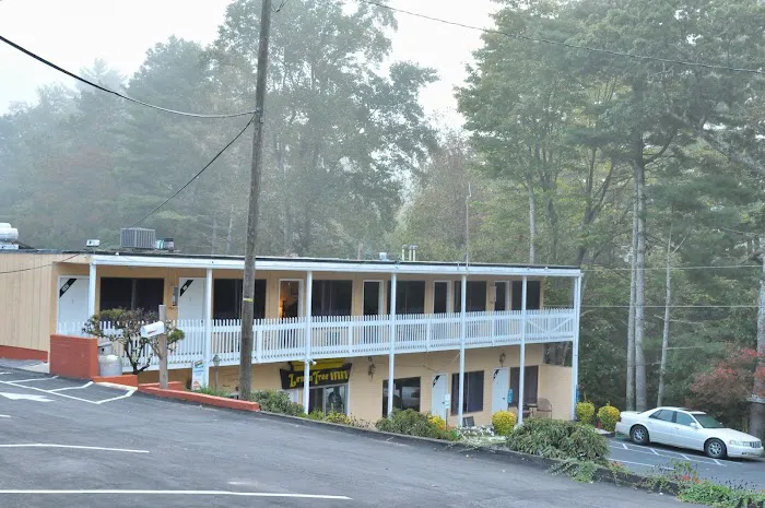Lemon Tree Inn 4