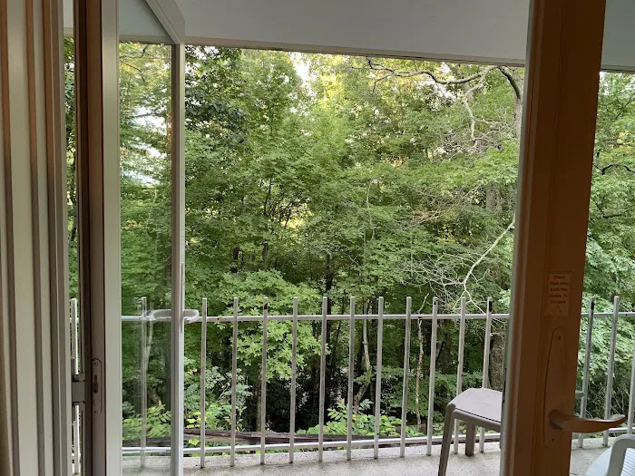 South Carolina Inn at Montreat 4