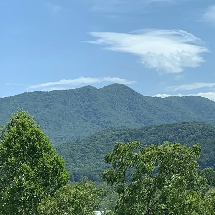 Hampton Inn Black Mountain 4