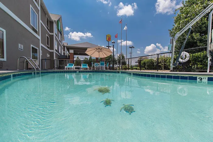 Holiday Inn Express Dandridge by IHG 4