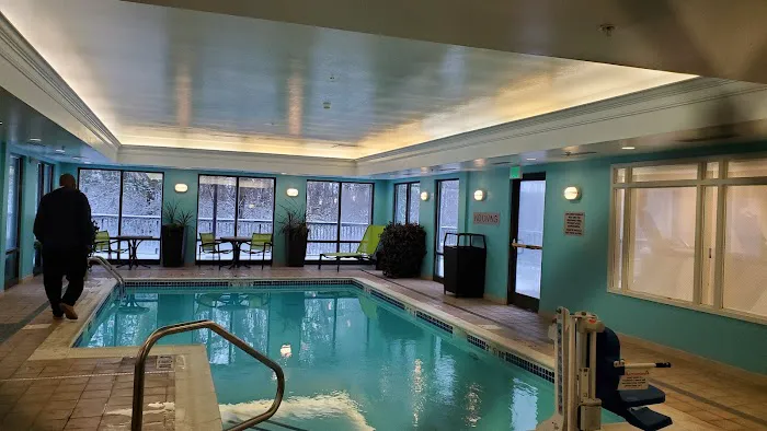 SpringHill Suites Asheville 4