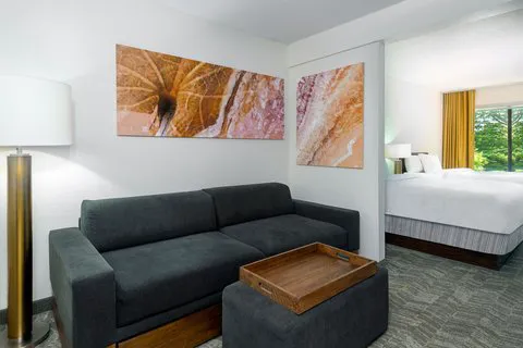 SpringHill Suites Asheville 4