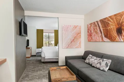 SpringHill Suites Asheville 4