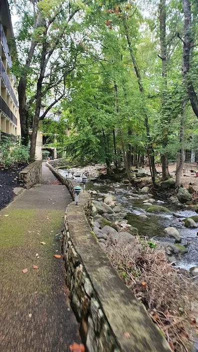 Brookside Lodge 4