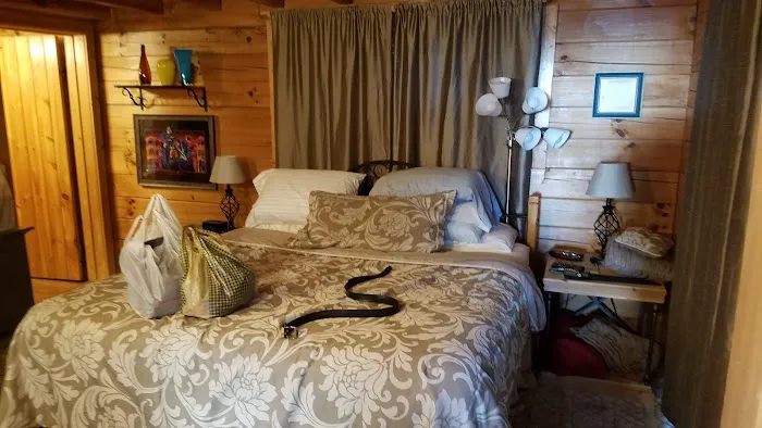 All That Jazz Rental Cabin 4
