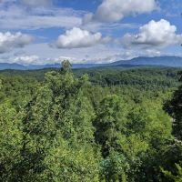 Woodland Hideaway ico