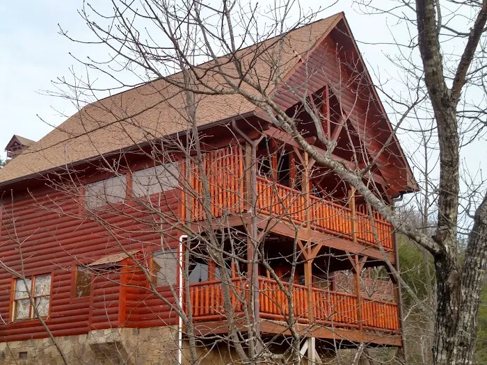 Woodland Hideaway 4