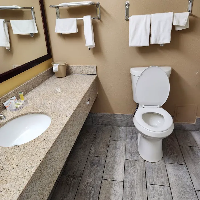Days Inn & Suites by Wyndham Johnson City 4