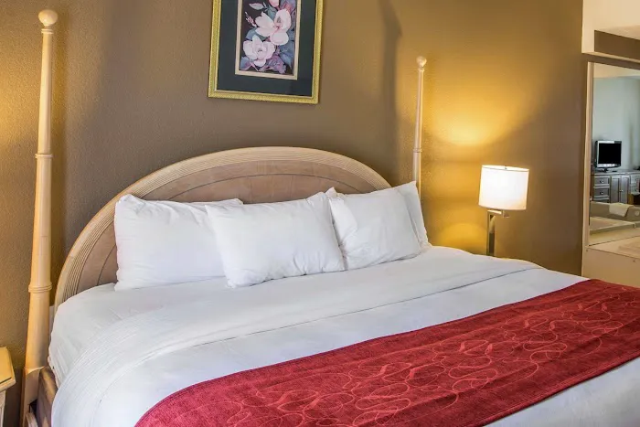 Quality Suites 4