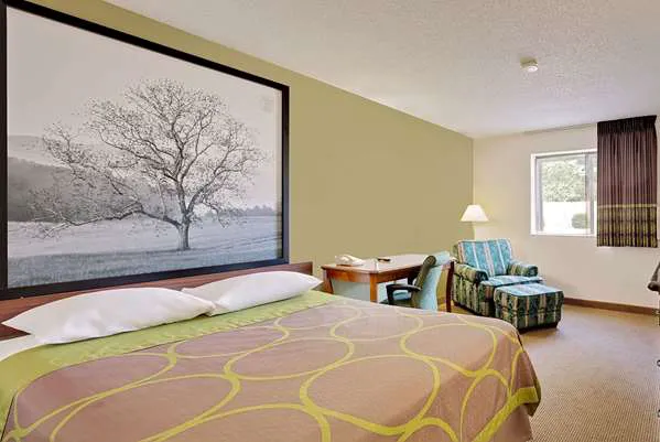 Super 8 by Wyndham Johnson City 4