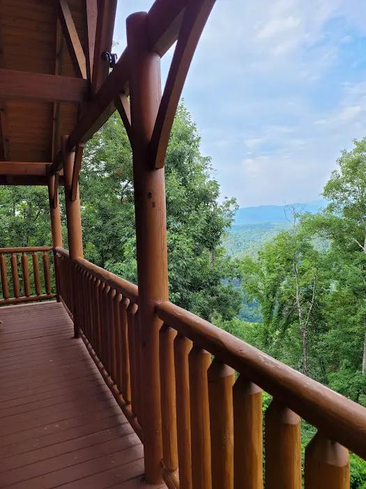 Cabin 4