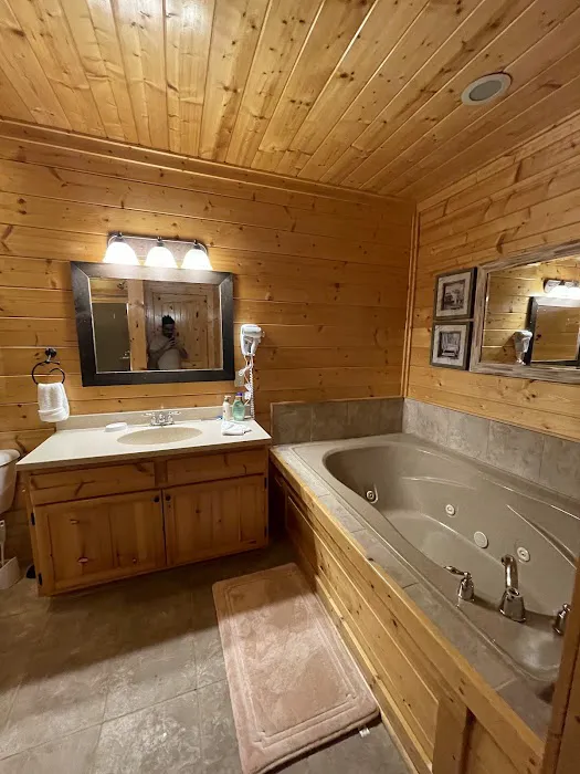 A Natural High cabin 4