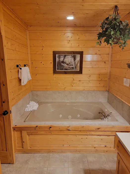 A Cozy Den 4