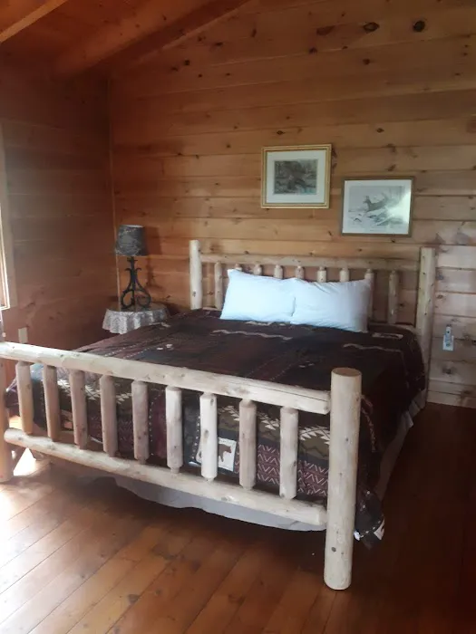 Cuddle Bear Cabin 4