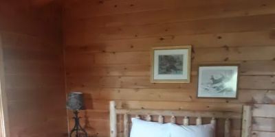 Cuddle Bear Cabin