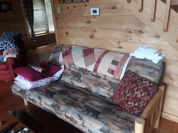 Cuddle Bear Cabin 4