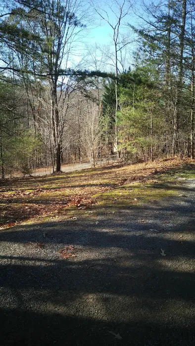 Running Bear Cabin 4