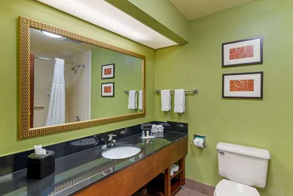 Comfort Suites Milledgeville 4