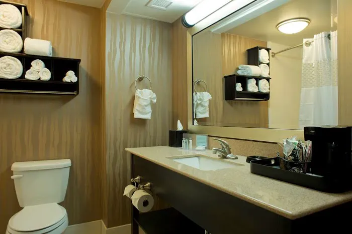 Hampton Inn Milledgeville 4