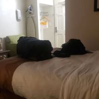 Quality Inn ico