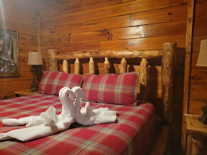 Country Pines Log Home Resort 4