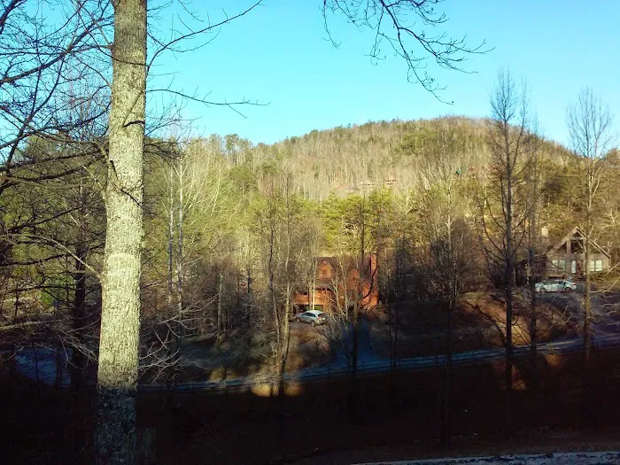 Country Pines Log Home Resort 4