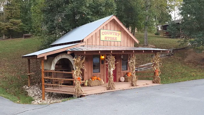 Country Pines Log Home Resort 4