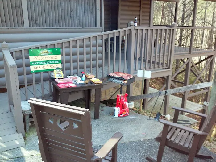 Country Pines Log Home Resort 4