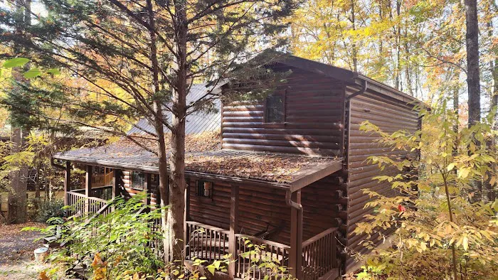 Bear's Lair 4