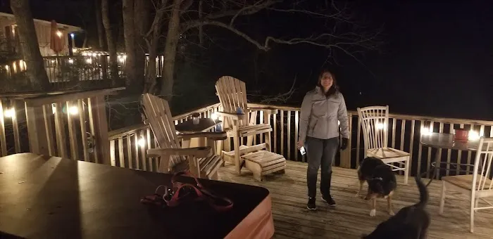 The Treehouse Cabin 4
