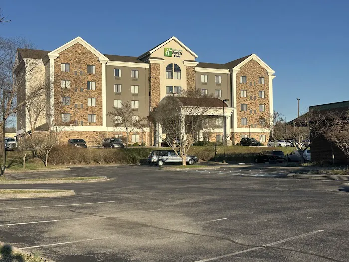 Holiday Inn Express & Suites Kingsport-Meadowview I-26, an IHG Hotel 4