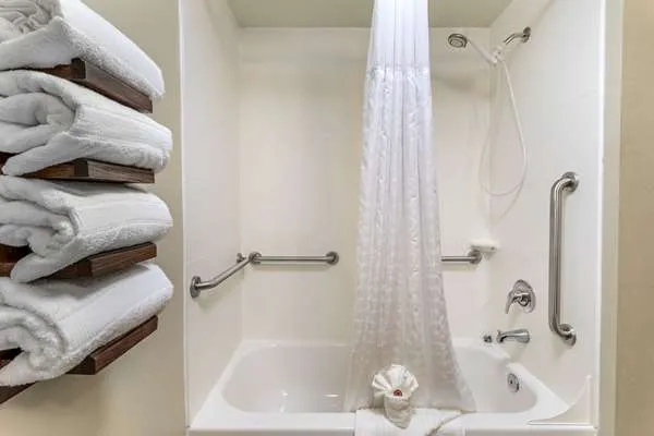 Comfort Inn South 4