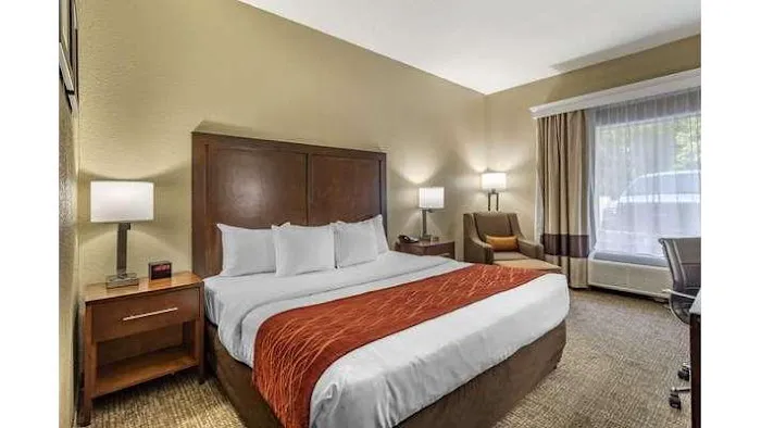 Comfort Inn South 4