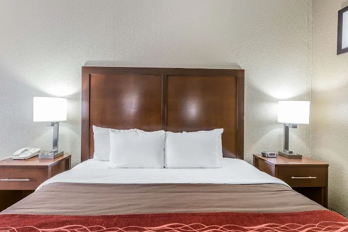 Comfort Inn South 4