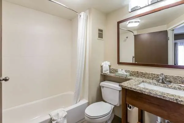 Comfort Inn South 4